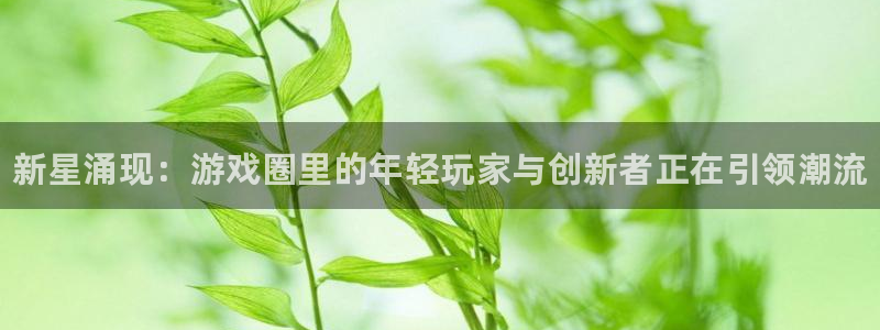 奇亿娱乐平台登录：新星涌现：游戏圈里的年轻玩家与创新者正在引