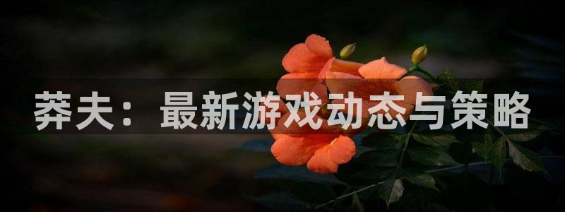奇亿娱乐代理登陆：莽夫：最新游戏动态与策略