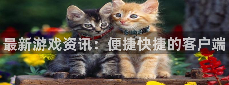 奇亿娱乐注册登录：最新游戏资讯：便捷快捷的客户端