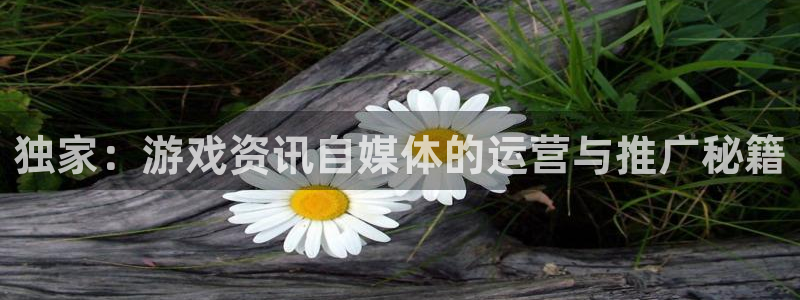 奇亿娱乐平台登录线路：独家：游戏资讯自媒体的运营与推广秘籍