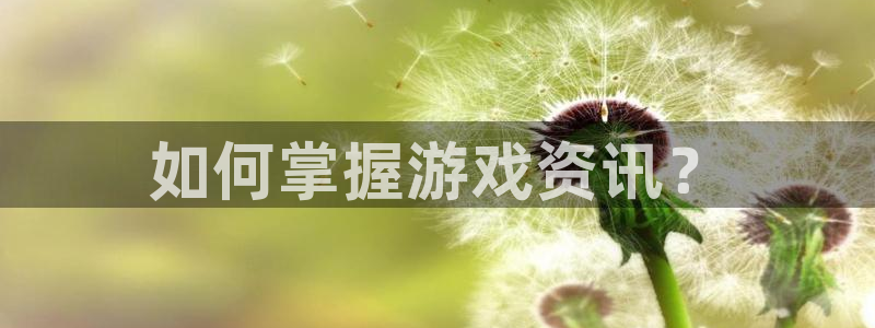 奇亿娱乐咨询：如何掌握游戏资讯？